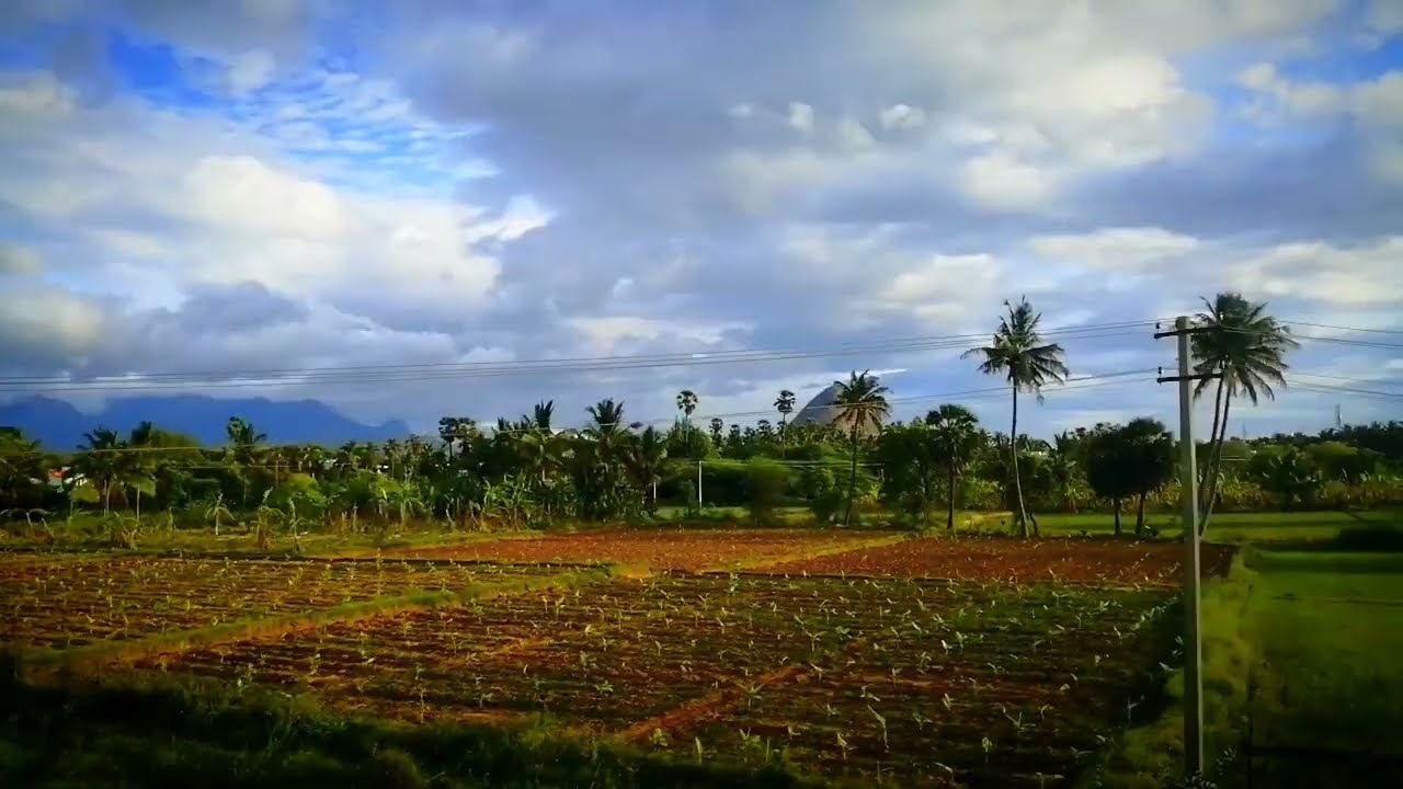 Travel through nature #travel #nature #traveller