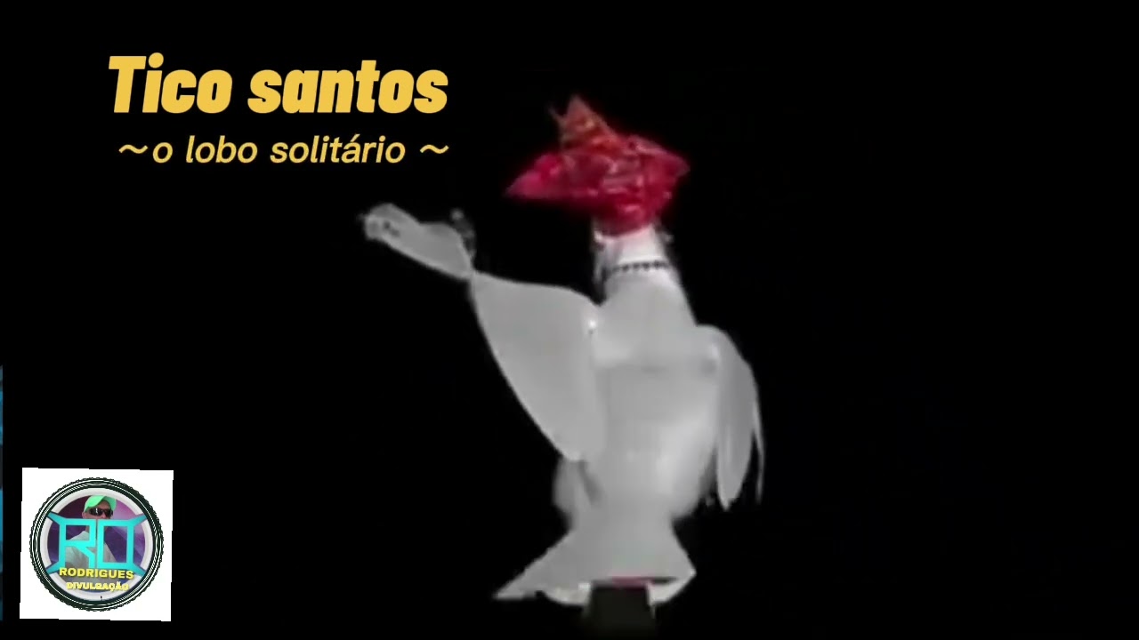 pombos dançando Música de Tico santos o lobo solitário  ((RD DIVULGAÇÃO))