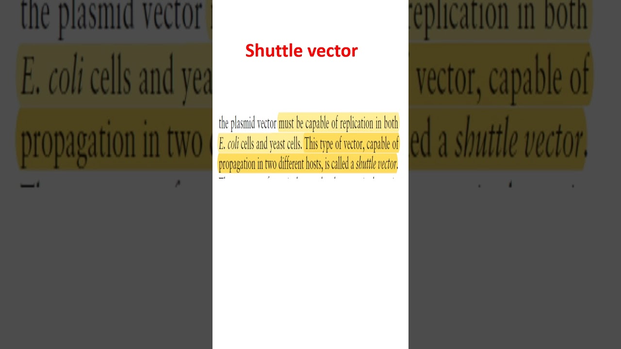 Shuttle vector