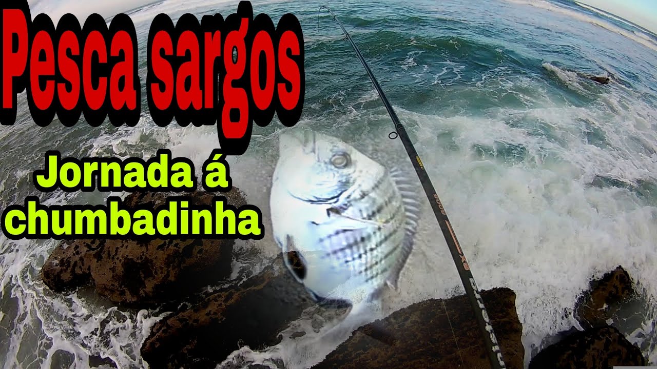 Pesca Sargos... jornada á chumbadinha
