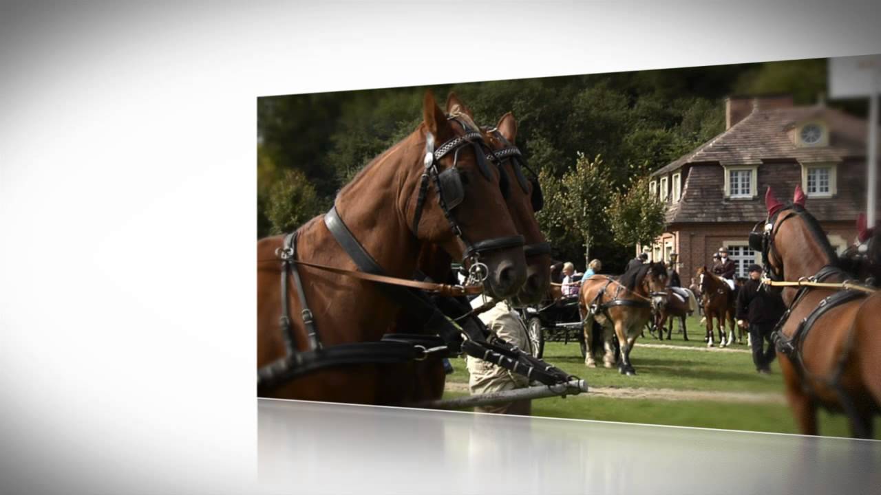 Samtgemeinde S&ouml;gel - Imagetrailer