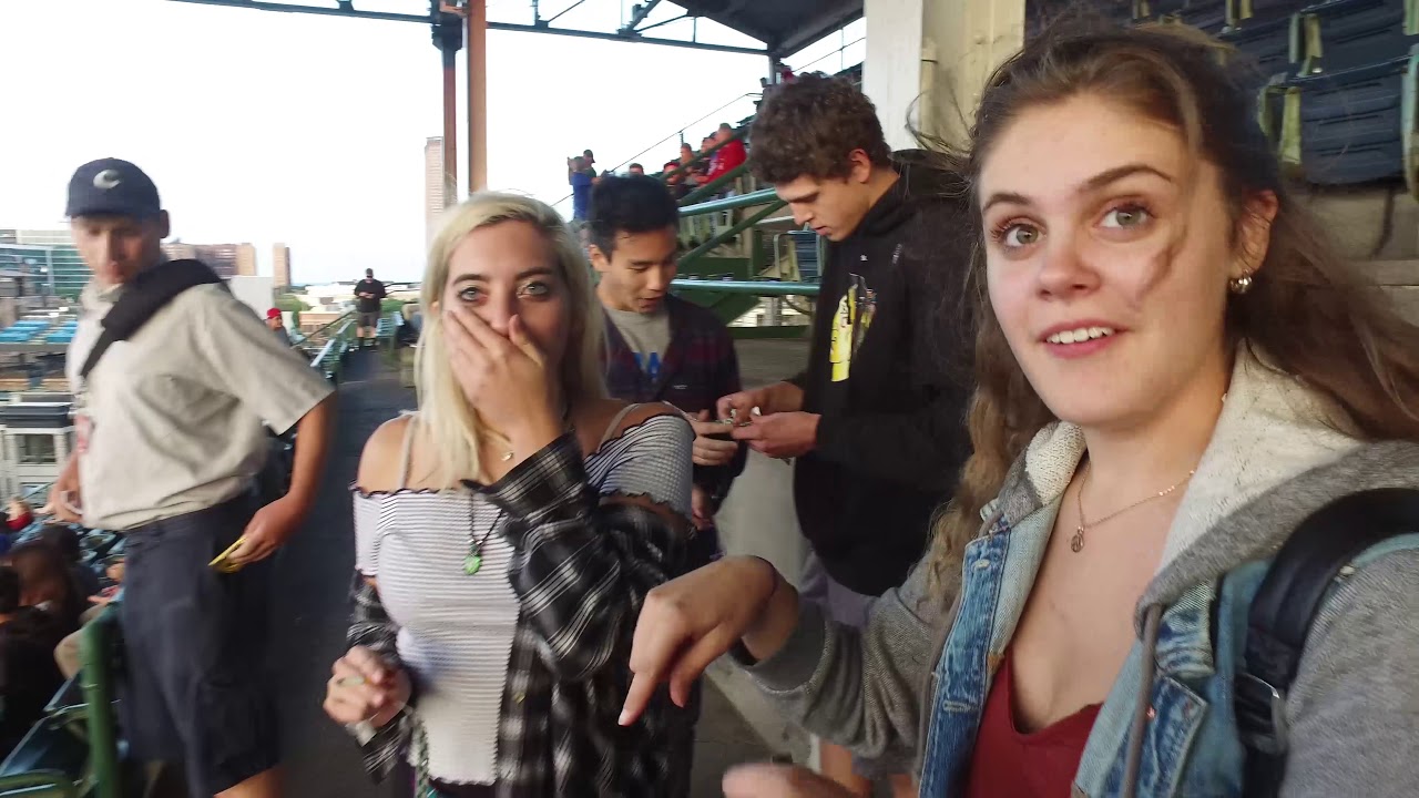 Green Day Bunny Upgrade! - Wrigley Field, Chicago 8/24/17