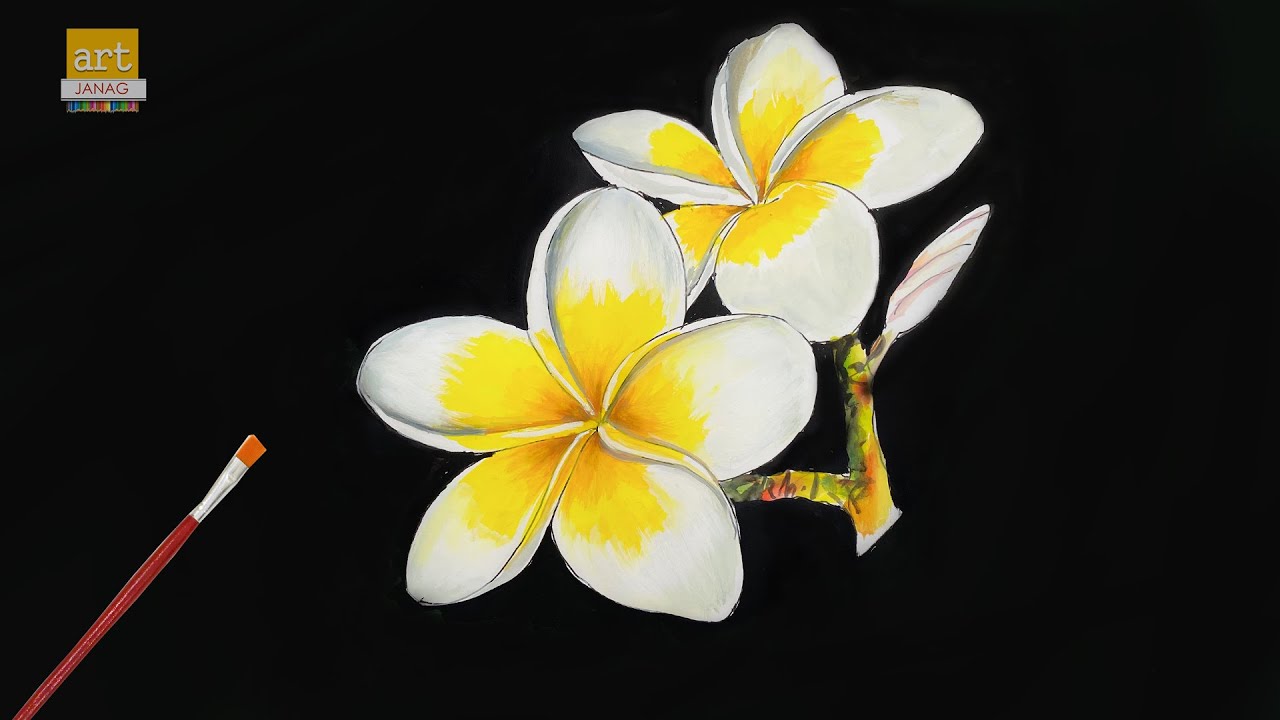 How to Draw Plumeria Flower II How to Draw Flowers II #artjanag