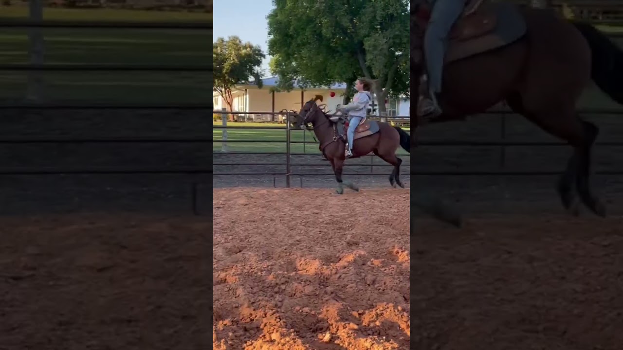 Rollbacks! We made tons of progress #horsetraining #fallontaylor #horsebosschallenge #shortsyoutube