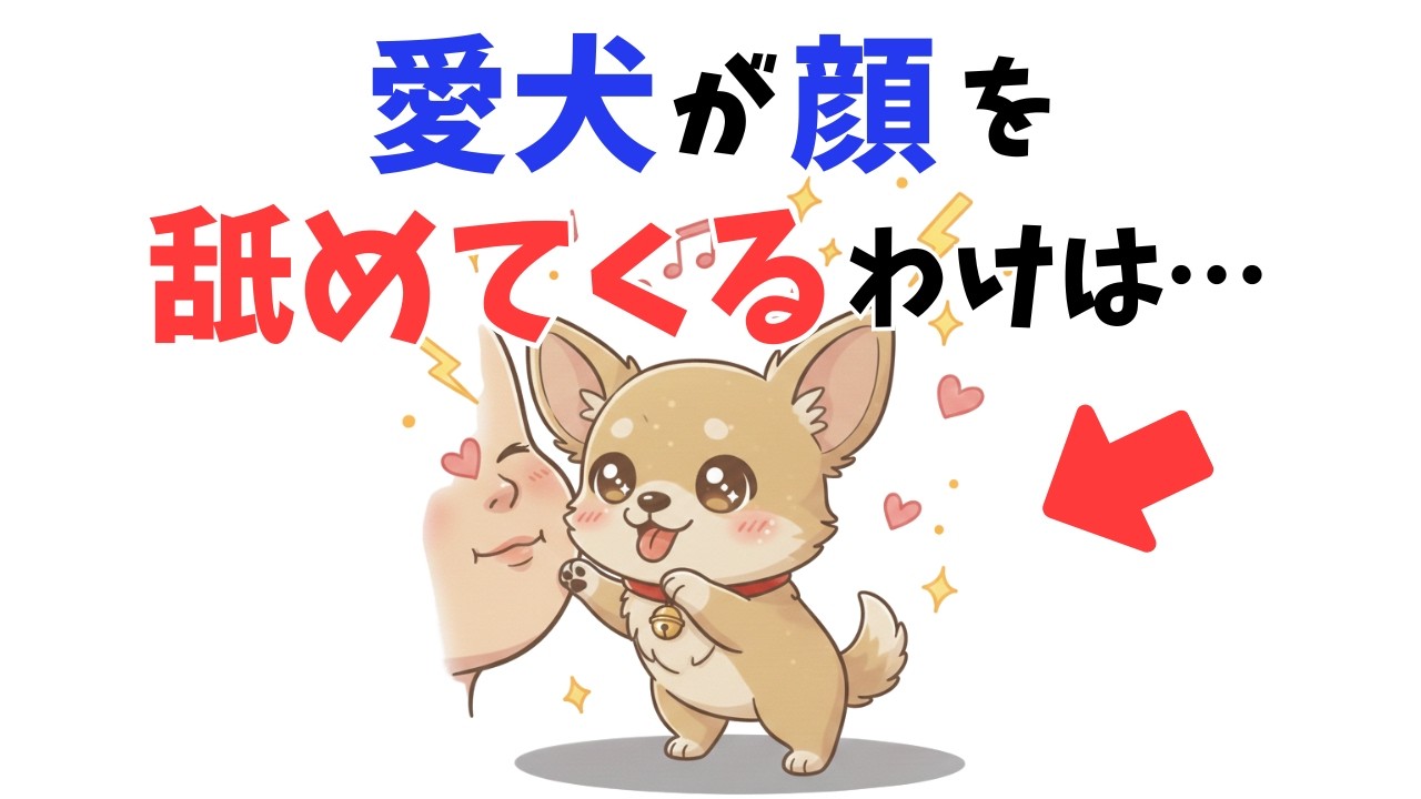 【13の真実】犬に顔を舐められる人の共通点