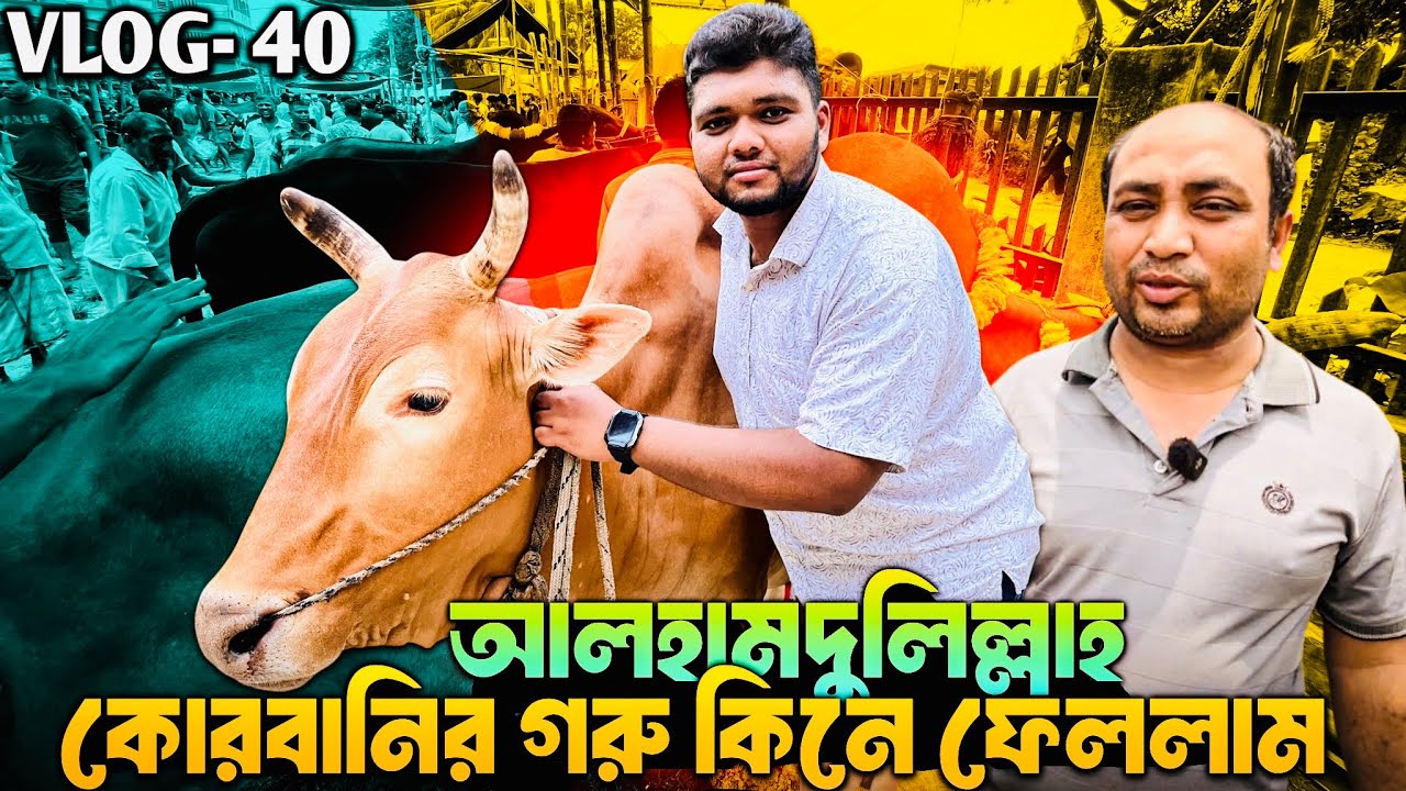 আলহামদুলিল্লাহ কোরবানির গরু কিনে ফেললাম । Gorur Haat 2025 । কোরবানির গরু ২০২৫