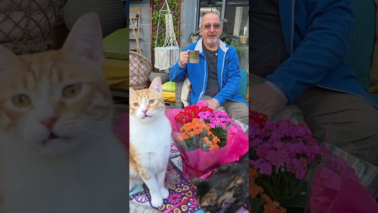 С 8 марта, дорогие наши! ❤️🌷🌷🌷