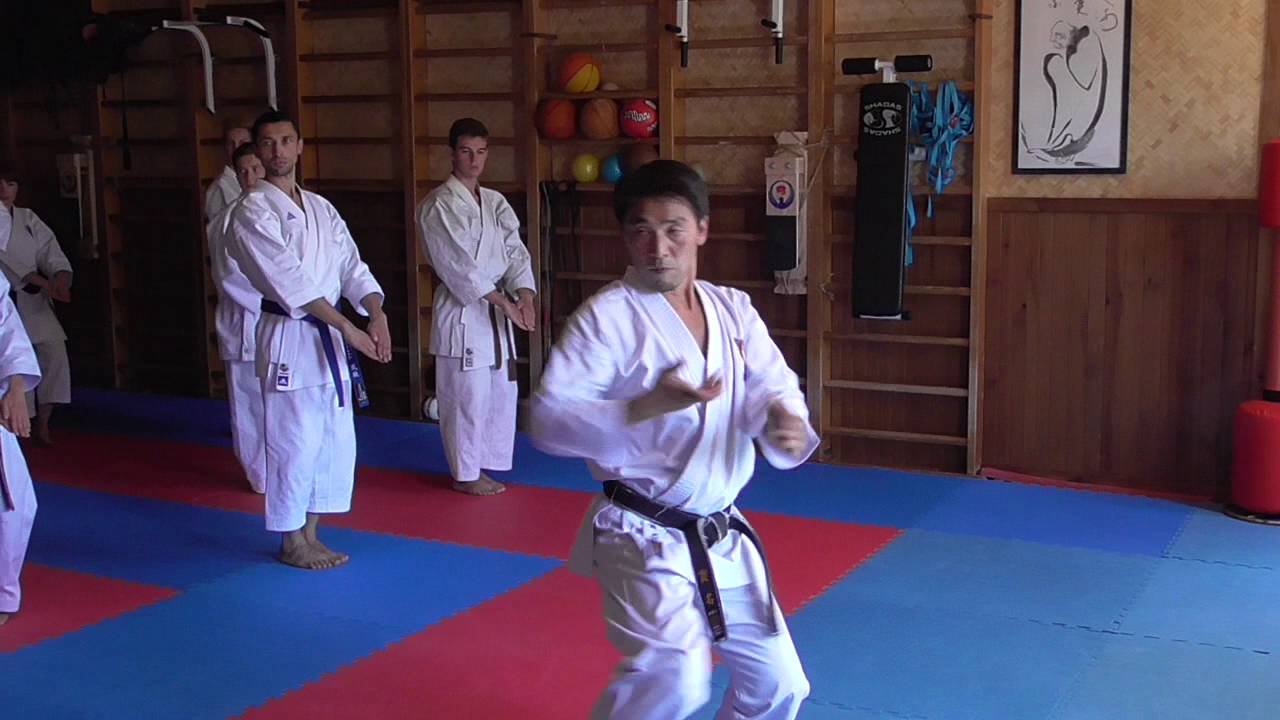 Seminar by Nukina   Ukraine 2016 Naihanchi 1