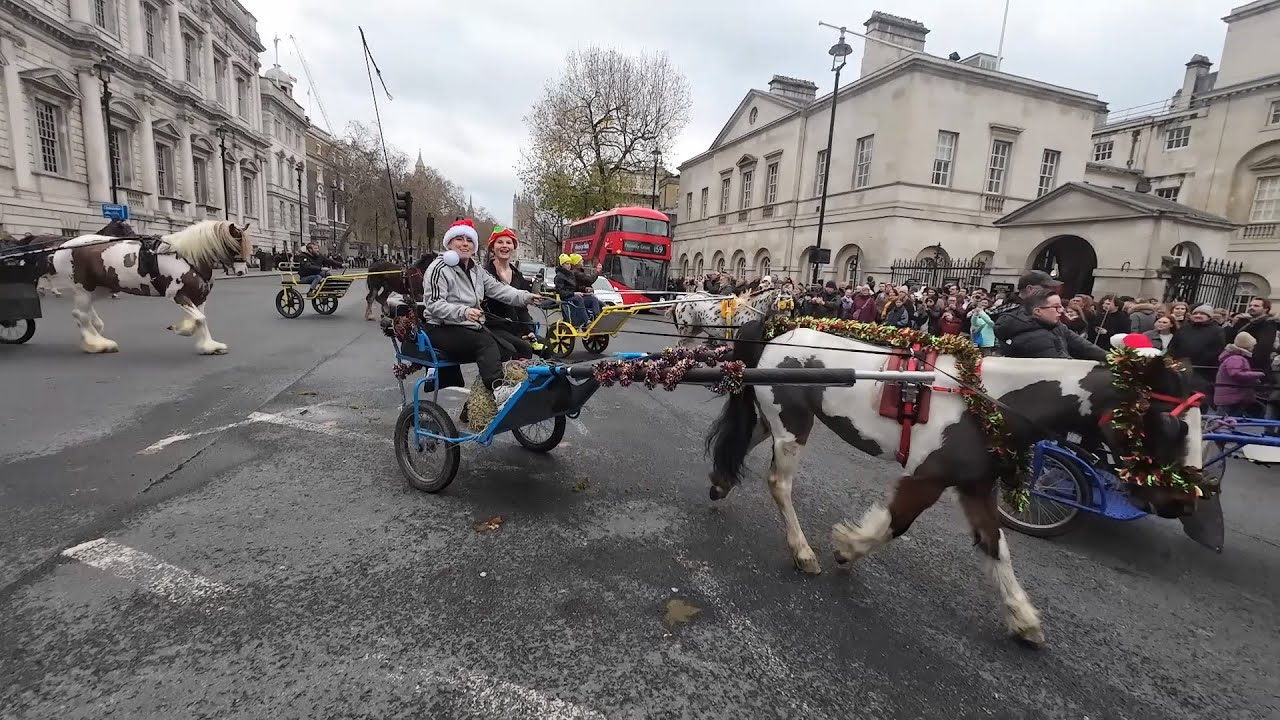 LOADS OF TRAVELLERS Pass The Horse Guards Horse And Cart London Horse Drive 2025 #horselove #horse