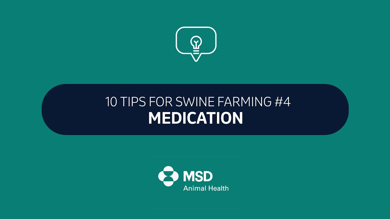10 Tips for Swine Farming #4: MEDICATION