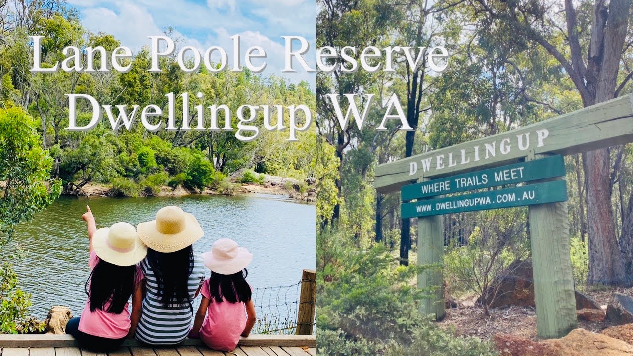 Lane Poole Reserve | Dwellingup | Harvey Dam WA | Miguela Family Vlog