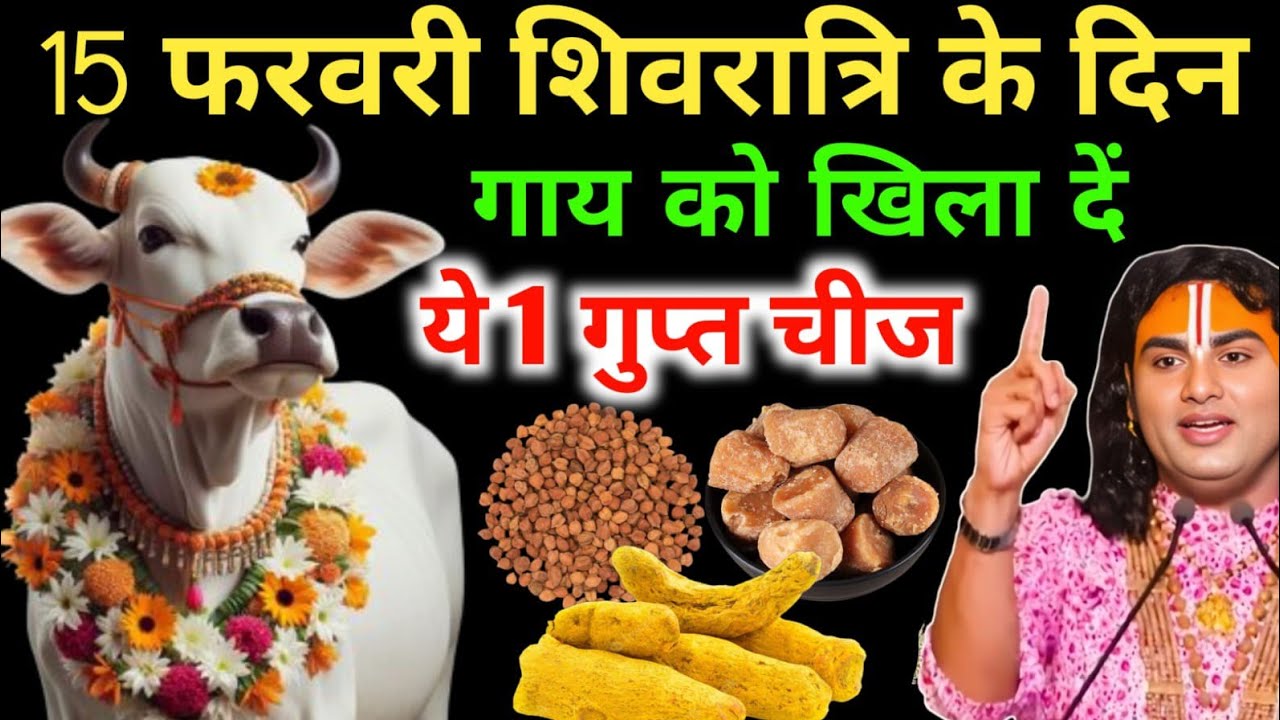 15 फरवरी महाशिवरात्रिः गाय को चुपचाप खिला देना 1 चीज़, 7 पुश्ते राज करेंगी | Mahashivratri 2026