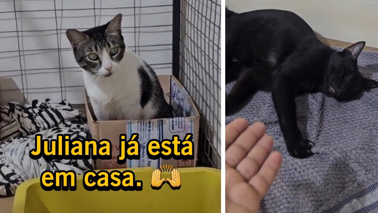 Quando eles escolhem o lugar, não tem outra opção.  😂😂😂 #VLOG