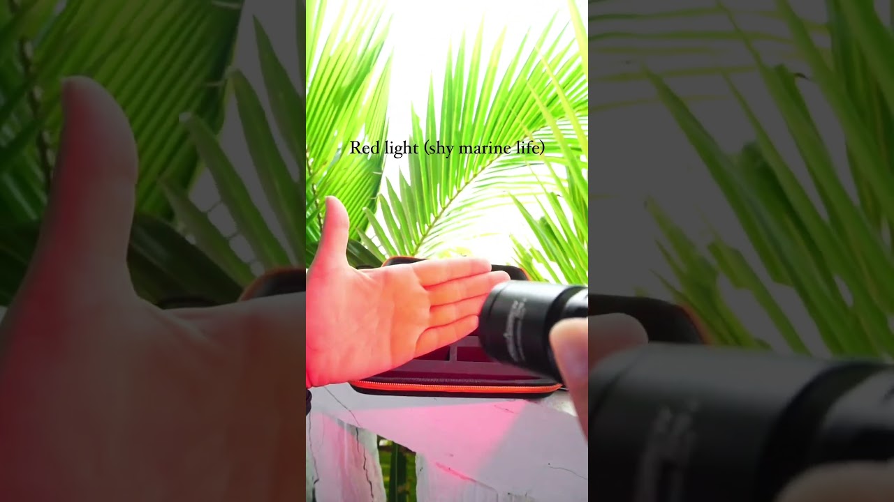 Orcatorch diving lights with UV , RED and two tones white light review and unboxing video UGC scuba