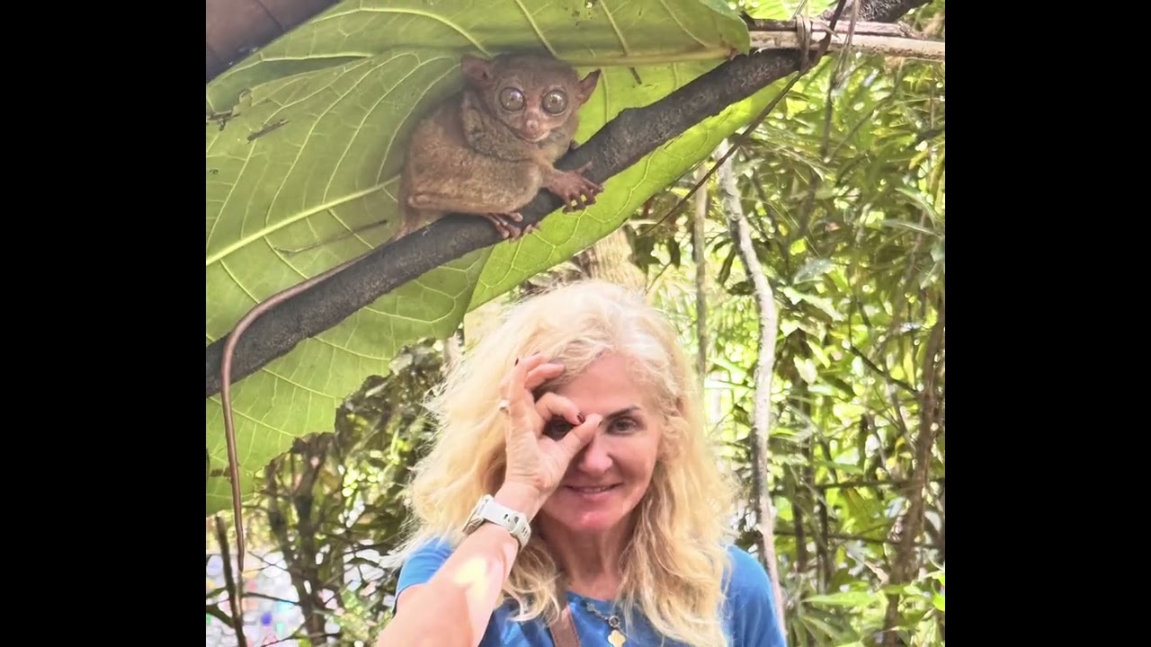 Filipiny, Bohol @GdyniaDive 