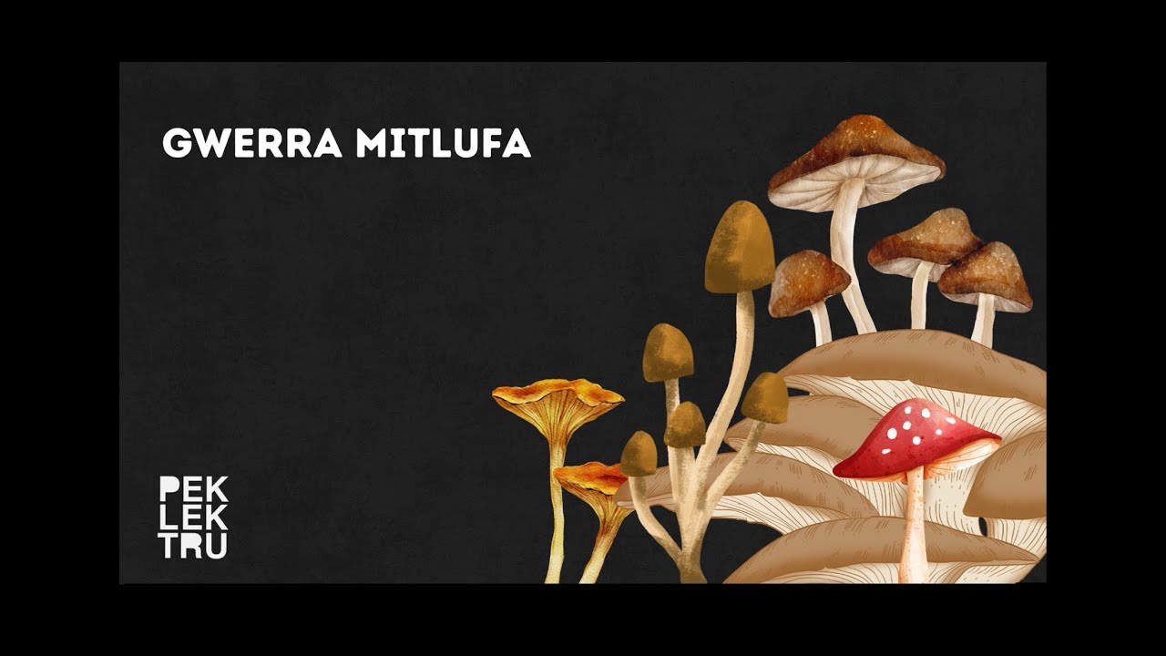 Peklektru - Gwerra Mitlufa Lyric Video