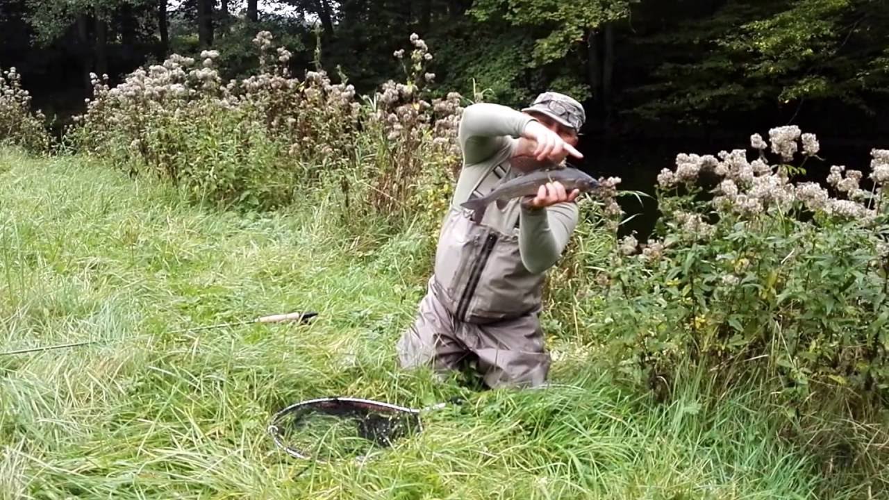 Dariusz Kosierkiewicz - Lipień 42 cm. z rz. Drawa, 01 października 2016