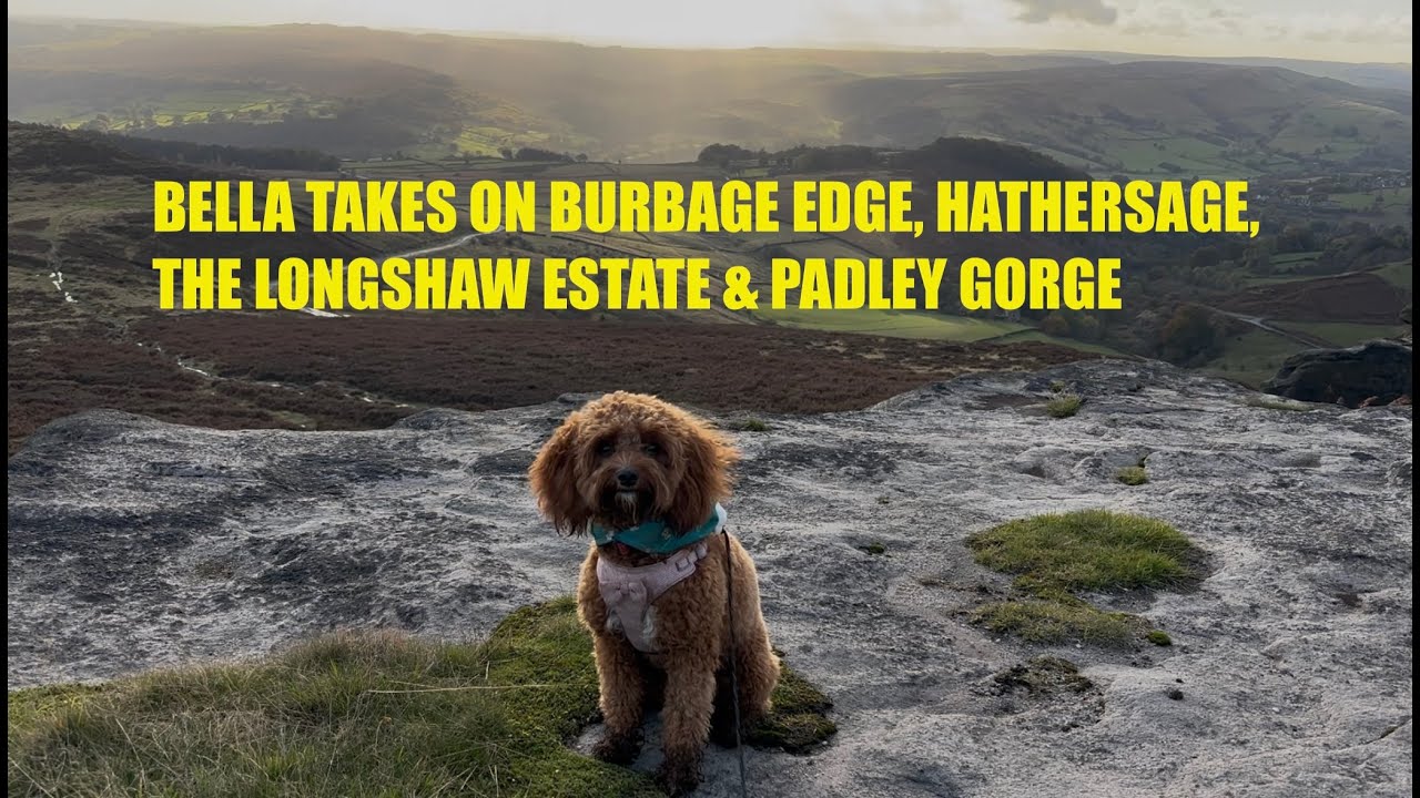 Stunning Burbage, Longshaw, Padley Gorge & Hathersage 🐾 | 100km Challenge for Dementia UK with Bella