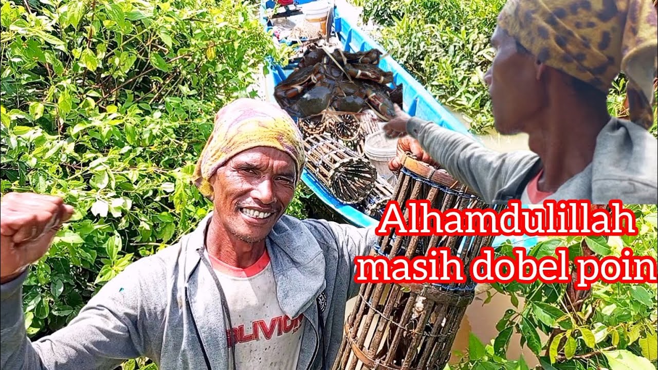 Mikul Kepiting Di Bawah Teriknya Matahari 