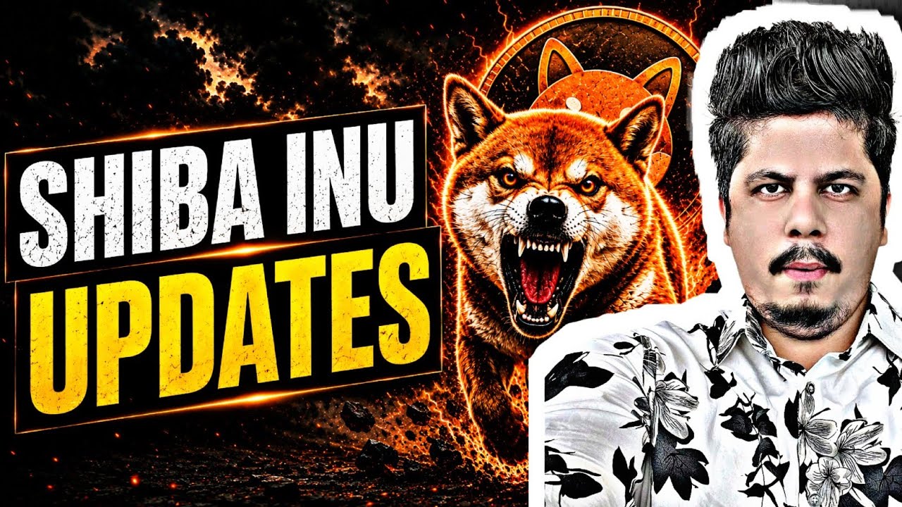 Shiba Inu Updates