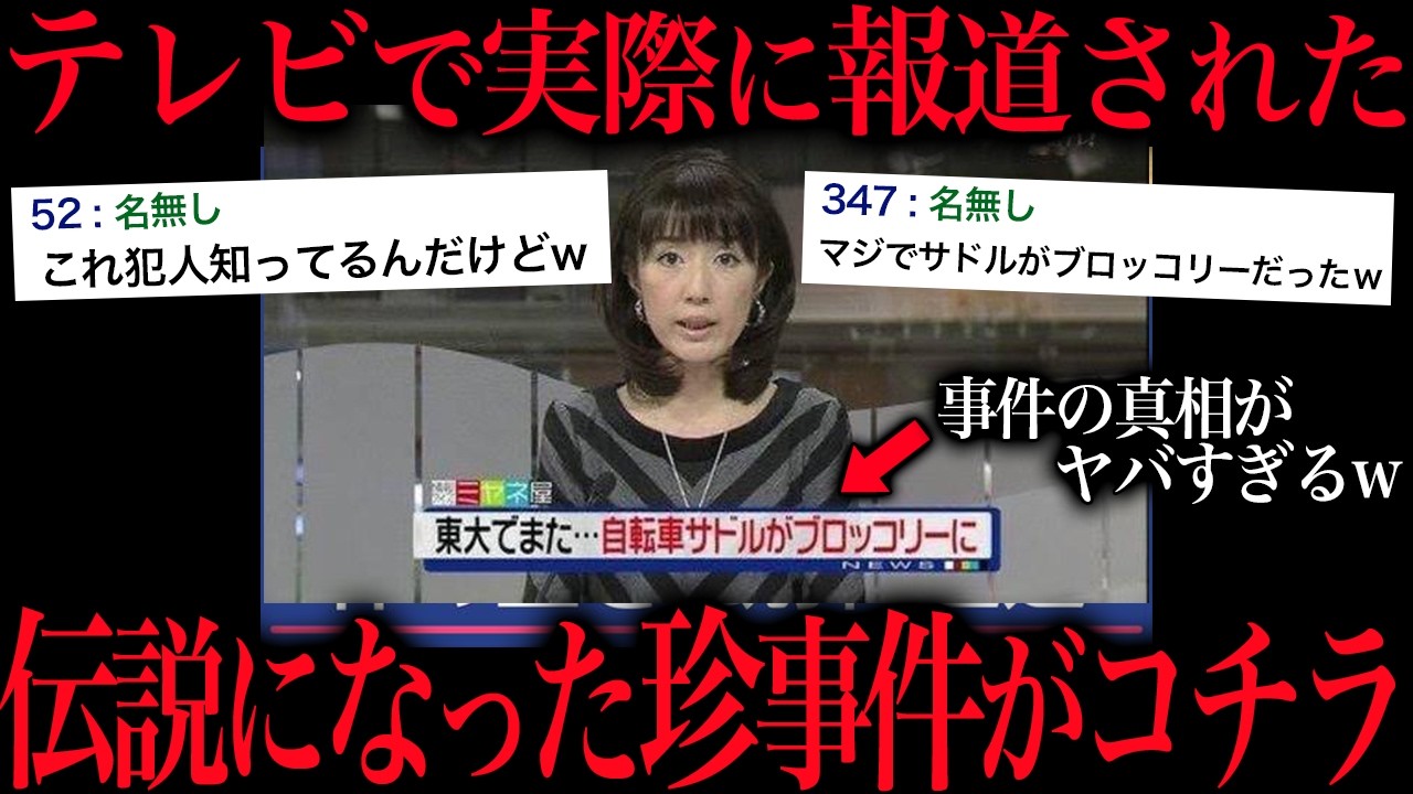 テレビで報道された嘘みたいな激ヤバ珍事件がこちら