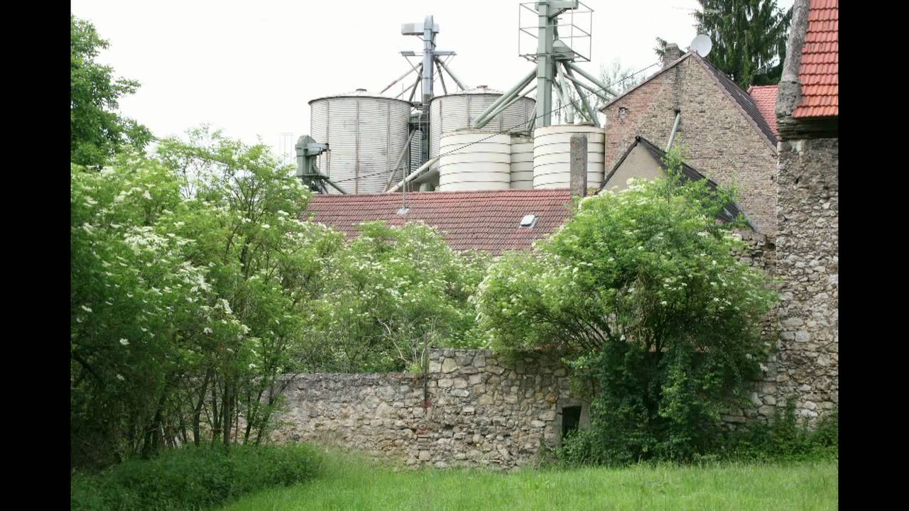 Flörsheim-Pics(letsfetz)
