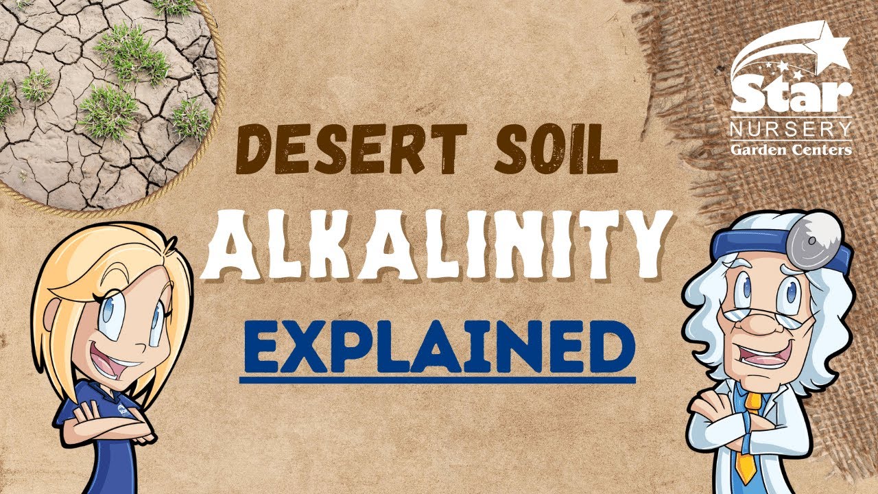 Soil Alkalinity EXPLAINED