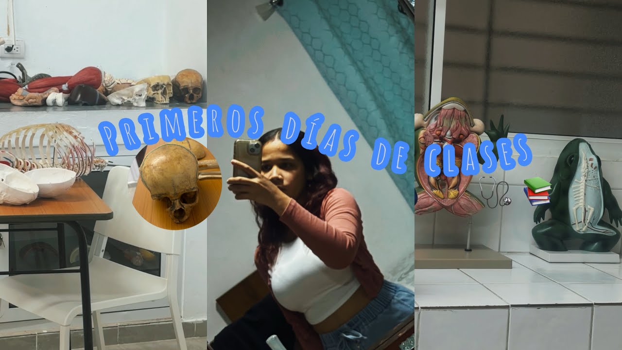 Inicio del cuatrimestre 📘| Merlyn 🩷