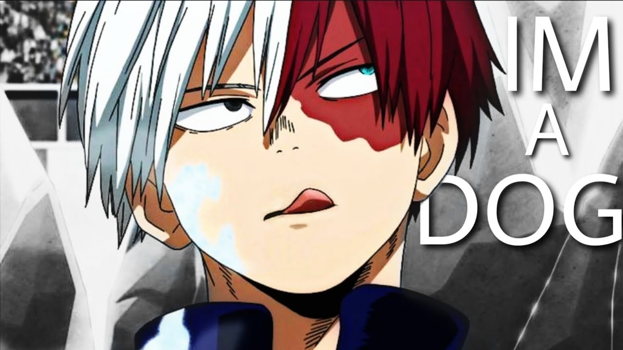 Bakugo | Todoroki 「AMV」↬I'm A DOG [BNHA]