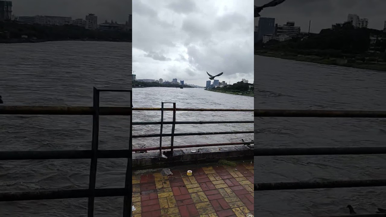 Pune ki Barish ⛈️| Bund Garden Pool #monsoon #river #waterlevelrise #flud #pune #urbanriver #shorts