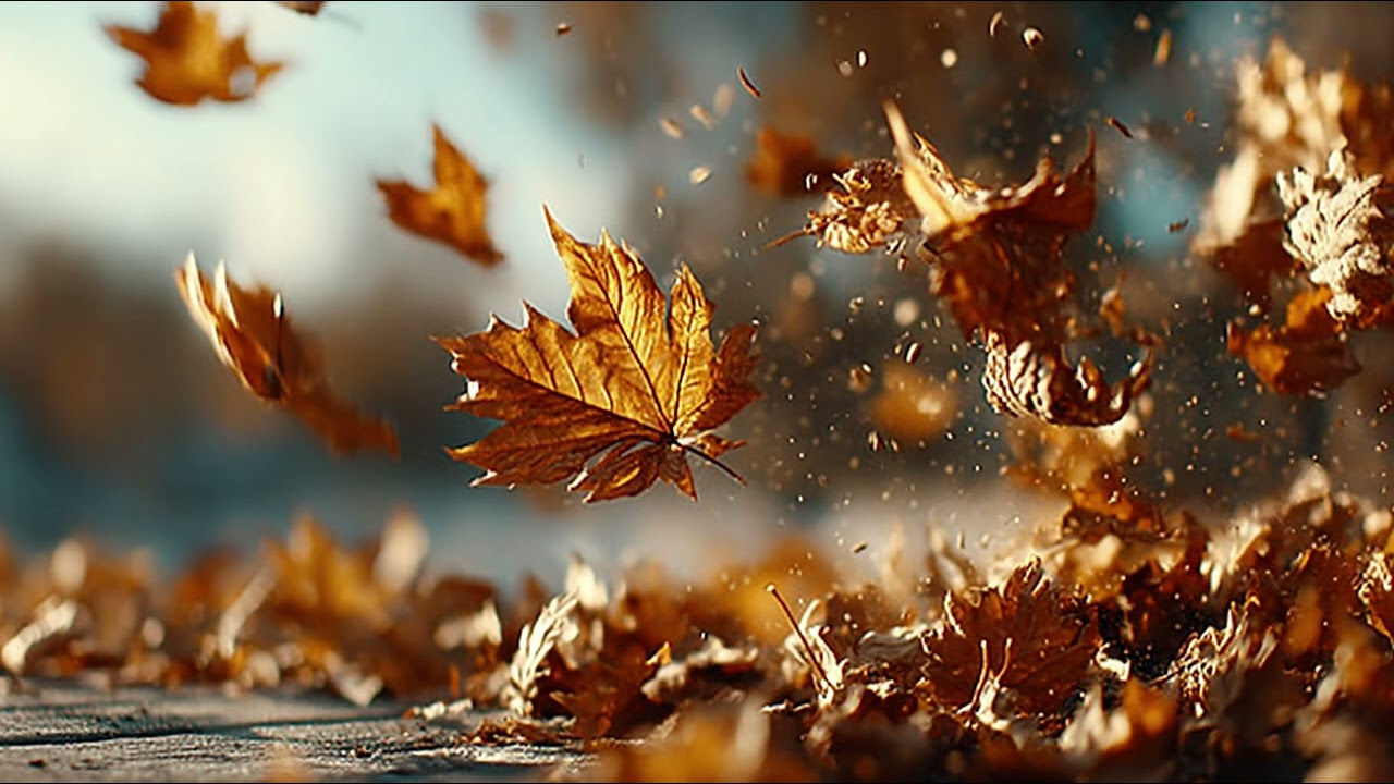 Autumn Leaves in the Wind- 9 Hours of Relaxing Fall Nature Wall Art (4K Silent TV Background)