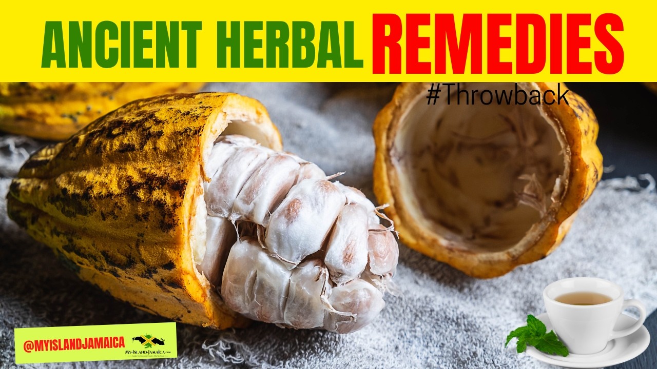 Ancient Medicinal Herbs Of Jamaica- 50+ Powerful Healing Plants! 🇯🇲