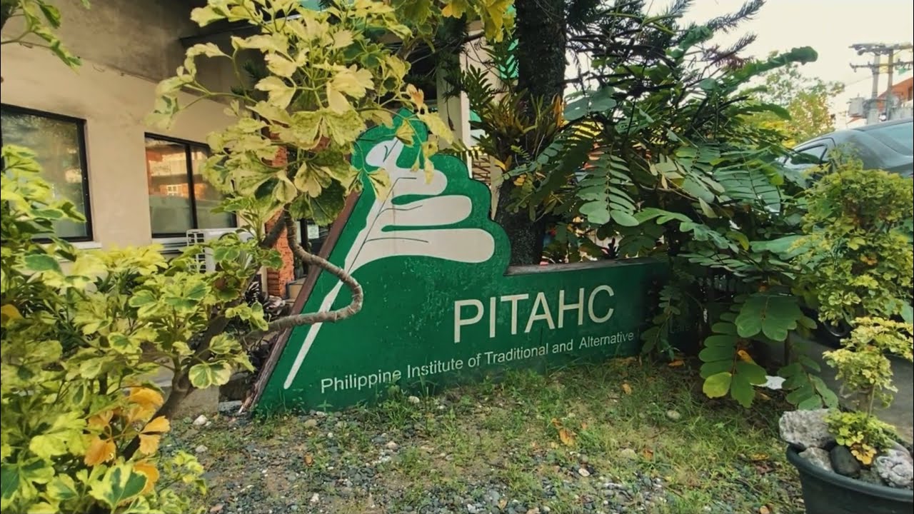 PITAHC - PROMOTIONAL VIDEO | LDCU GROUP 2 BATCH 1