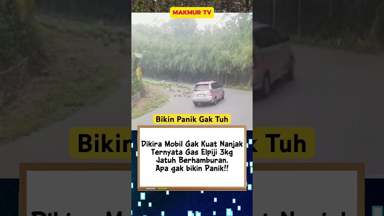 Bikin panik gak tuh #infoterkini #cekfaktaberita #faktaunik