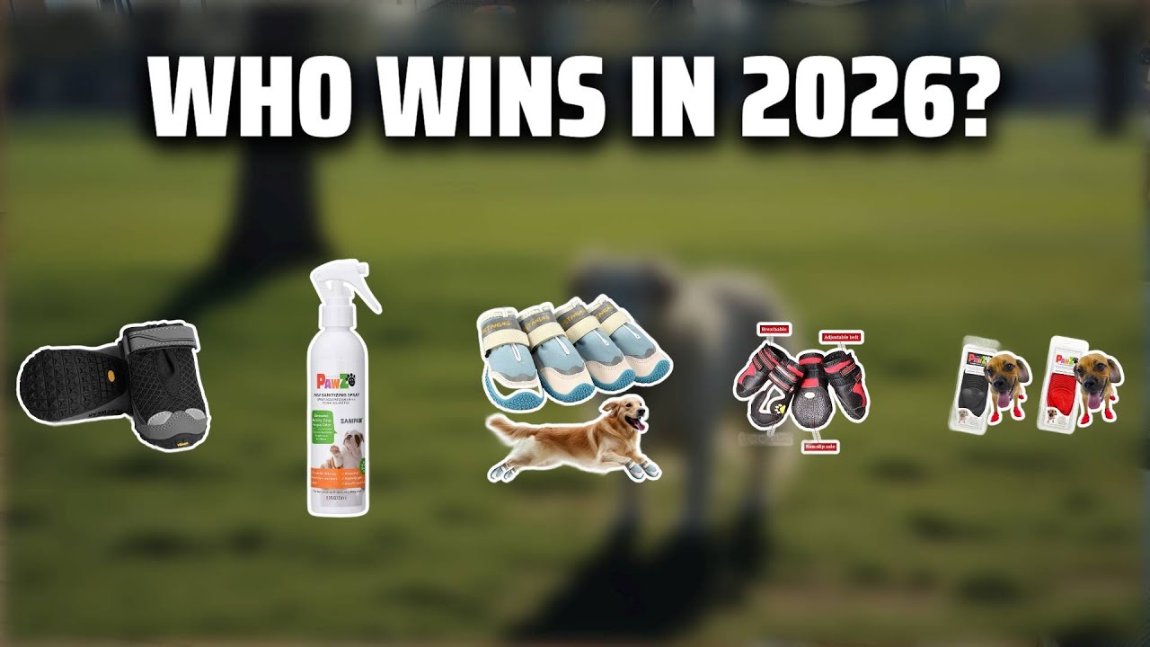 The Top 5 Best Pawz Dog Boots in 2026 - Must Watch Before Buying!