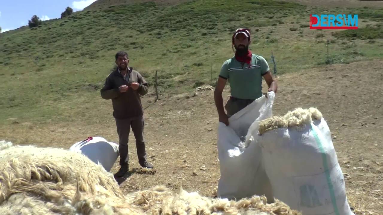 Yaylacılar ve sorunları