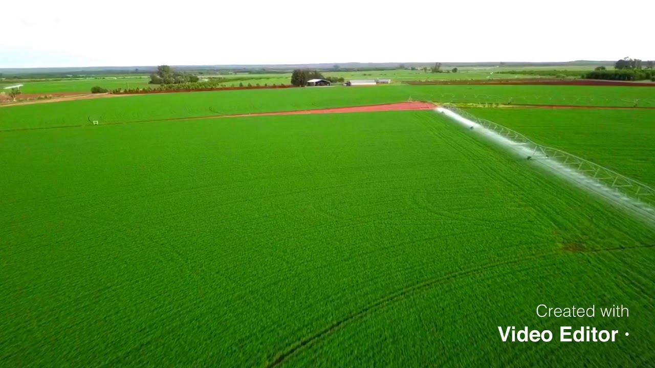 Farming in South Africa