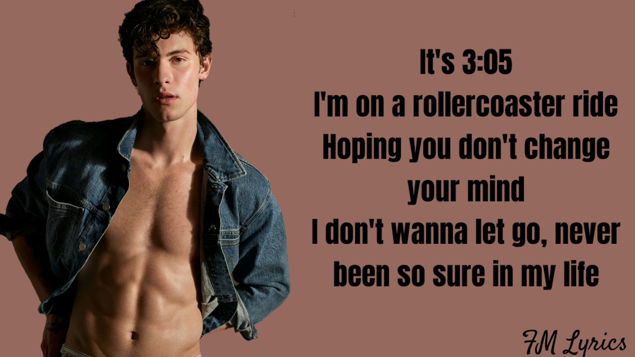 305 by Shawn Mendes (Lyrics)