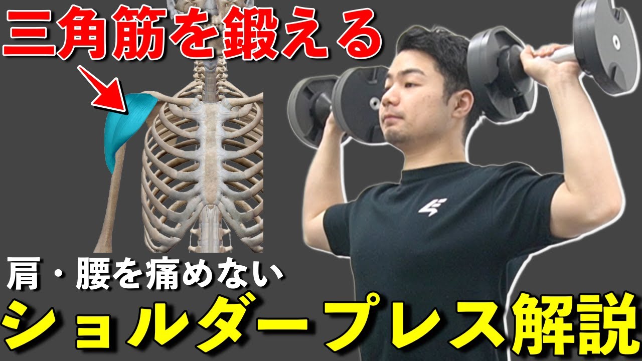【ショルダープレス】肩と腰を怪我せずに三角筋を鍛えるフォーム解説