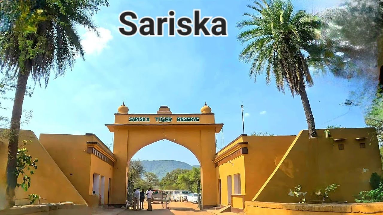 Exploring Sariska Tiger Reserve and way back to Delhi