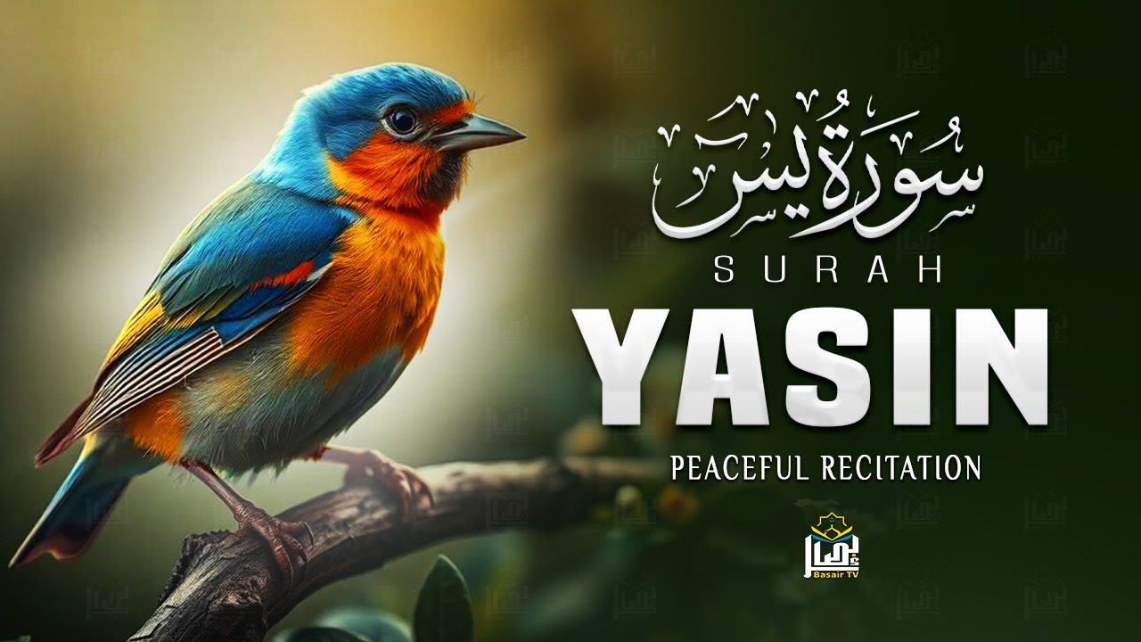 Surah Yasin (Yaseen) سورة يس | Emotional Recitation That Will Melt Your Heart | Basair TV
