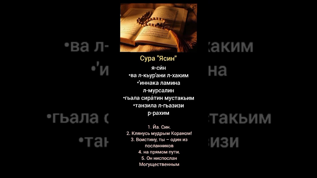 Сура Ясин #quran #коран #сурымолитвы