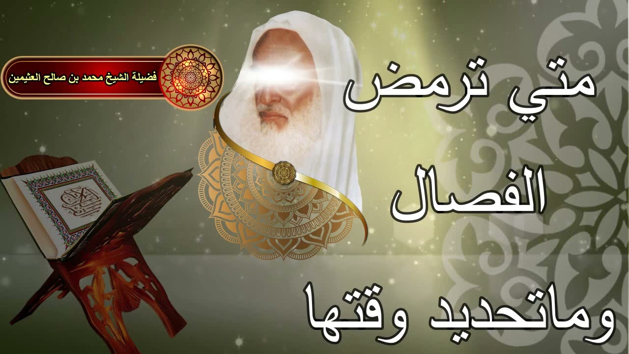 متي ترمض الفصال وما تحديد وقتها.... الشيخ ابن عثيمين رحمه الله