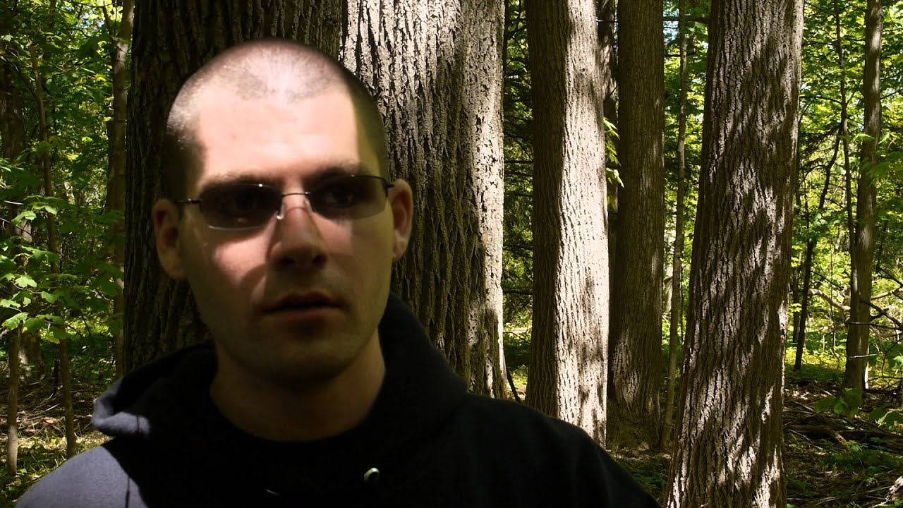 Fading Sanity Teaser 2014