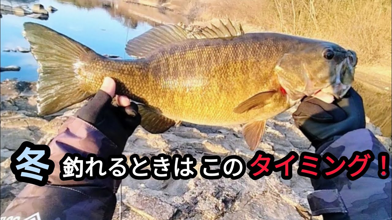 【冬の川スモール】冬に良く釣れるのはこのタイミング！【バス釣り】