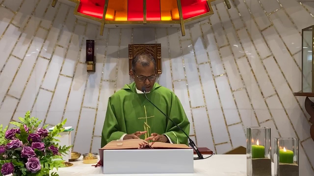 Homily - 1st July 2020 | Matthew 8: 28-34