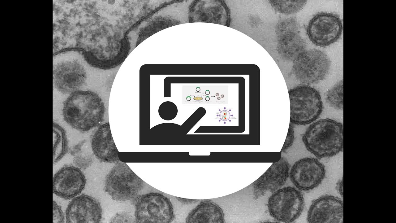 Viral Vectors