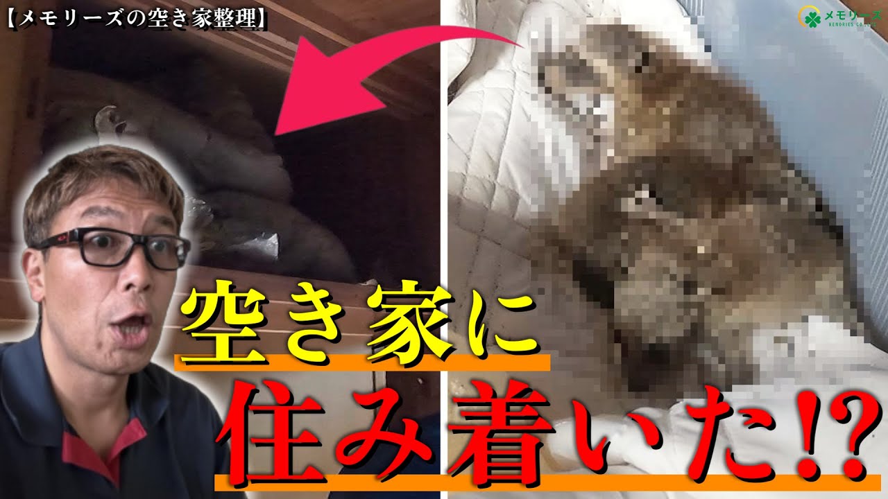 【お客様困惑】10年空き家で動物が住み着いた思い出のあるご実家をお片付け！「生きている間に片付け等をちゃんとしておかないと残された方も大変…」【メモリーズの空き家整理】