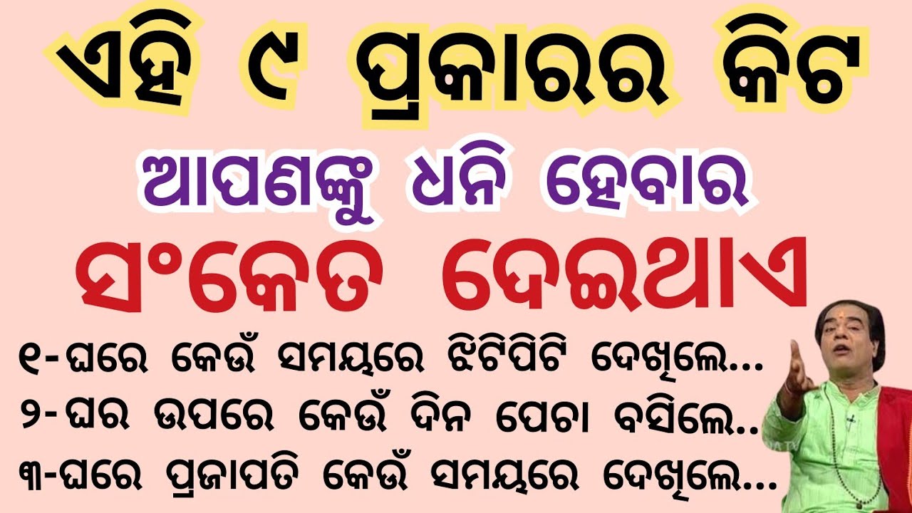 ଏହି ୯ ପ୍ରକାରର କିଟ ଆପଣଙ୍କୁ ଧନି ହେବାର ସଂକେତ ଦେଇଥାଏ anuchinta #Anuchinta