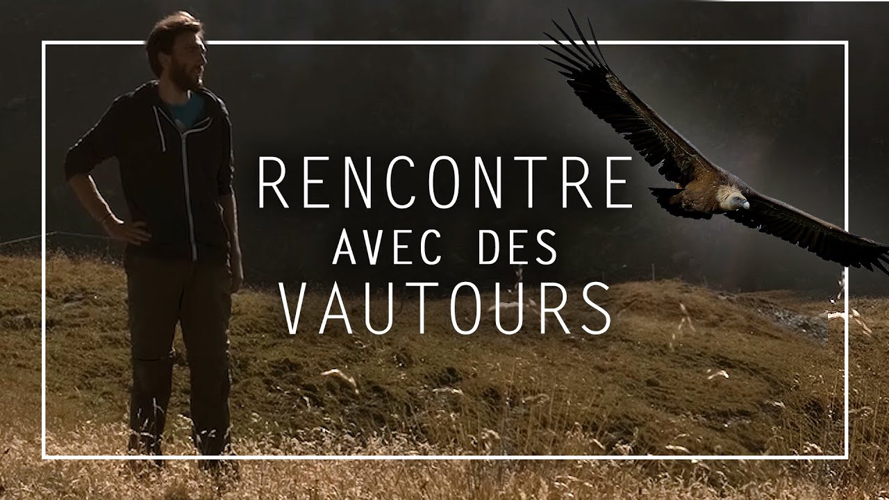 J'observe des vautours & d&eacute;couvre la vanlife en automne || A Nous Les Grands Espaces Tant Esp&eacute;r&eacute;s #8